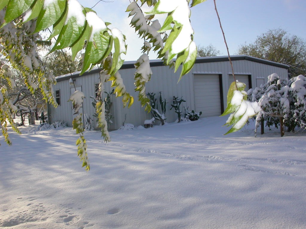 Shirley Boucher Snow in Swinney Switch (Lake Corpus Christi